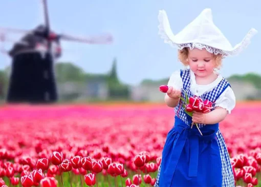 درباره کشور هلند و پرچم هلند