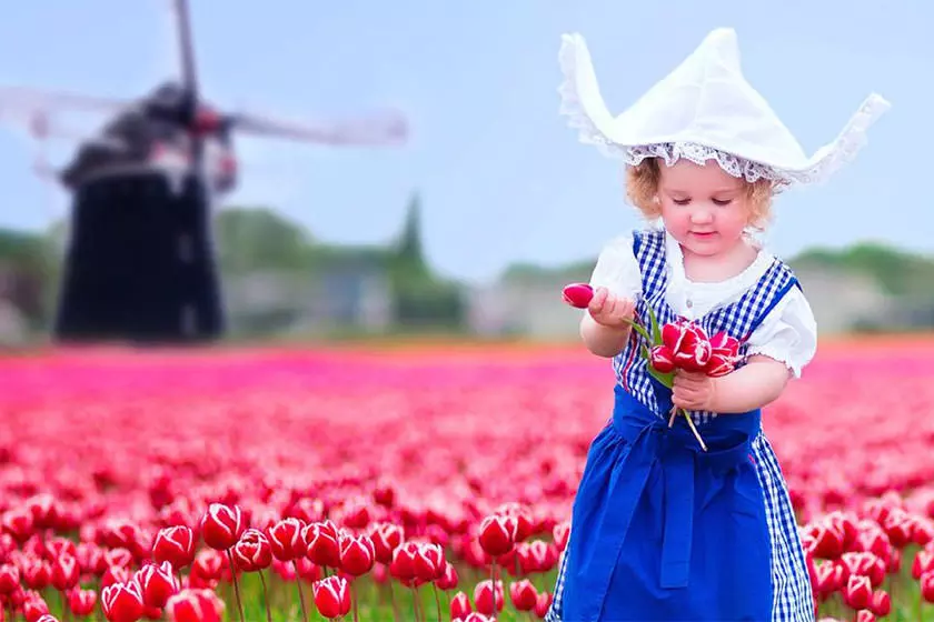 درباره کشور هلند و پرچم هلند