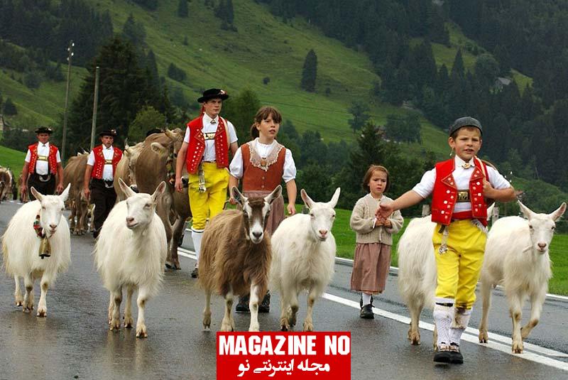 فرهنگ و آداب سوئیس