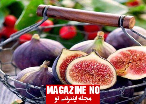 انجير Fig| برسی همه جانبه درباره خواص، نحوه مصرف و مضرات انجیر ابن ماده پر خاصیت