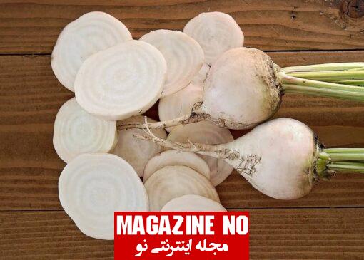 چغندر BEETS| هر آنچه که باید درباره چغندر بدانید!!