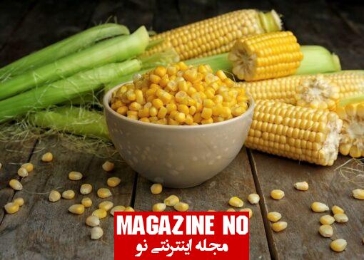 ذرت Corn| هر آنچه که باید درباره ذرت بدانید!!