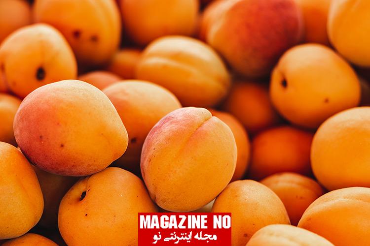 زردآلو Apricot| برسی کامل خواص خواص، طرز استفاده و مضرات زردآلو