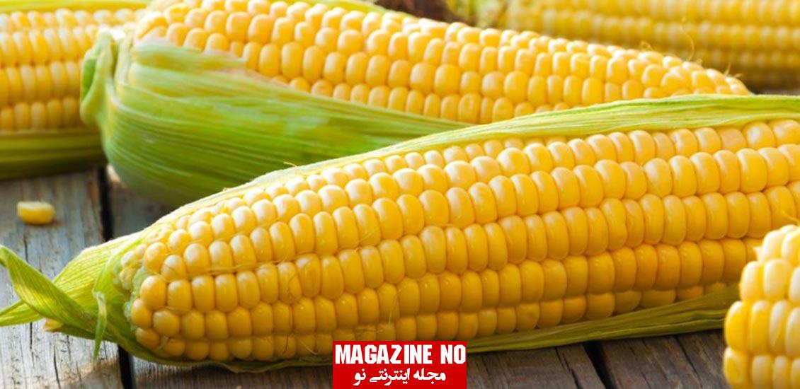 ذرت Corn| هر آنچه که باید درباره ذرت بدانید!!