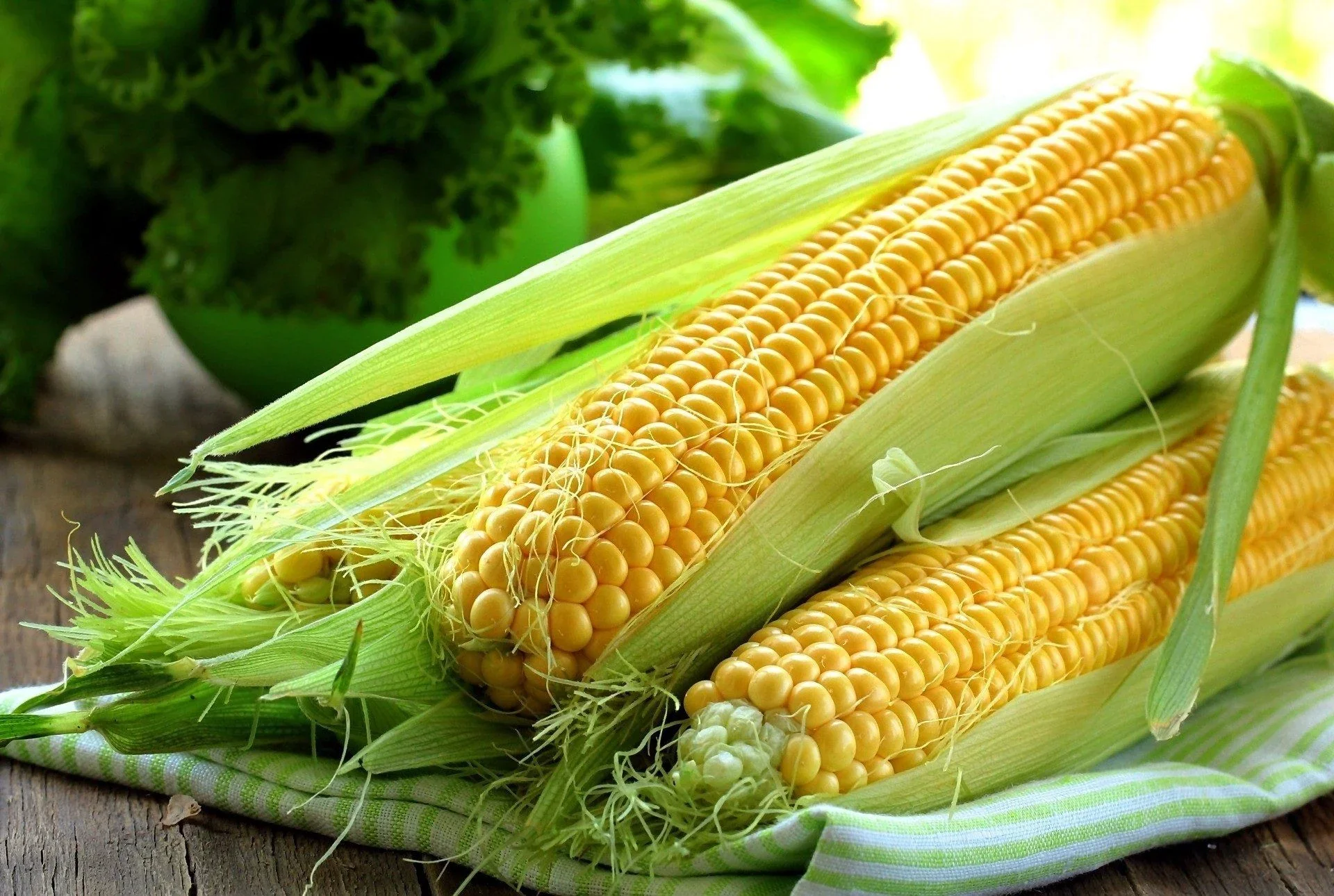 ذرت Corn| هر آنچه که باید درباره ذرت بدانید!!