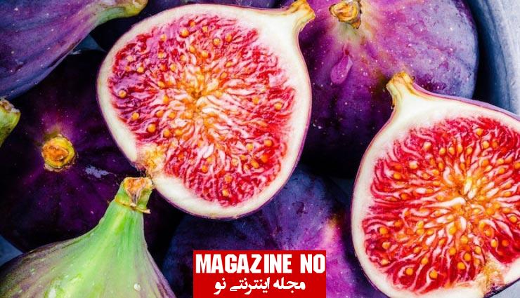 انجير Fig| برسی همه جانبه درباره خواص، نحوه مصرف و مضرات انجیر ابن ماده پر خاصیت 