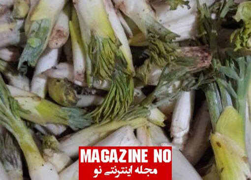 طرز تهیه ترشی زو با بهترین روش مخصوص شهر کرمانشاه بسیار خوشمزه