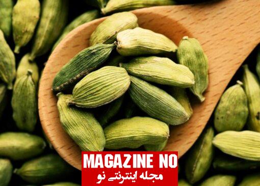 هل Cardamom| برسی همه جانبه درباره خواص بی نظیر و دارویی هل بهمراه نحوه استفاده