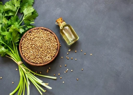 گشنيز Coriander| برسی خواص دارویی و نحوه مصرف گشنيز