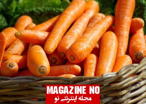 هويج Carrot| برسی همه جانبه و کامل درباره خواص و نحوه مصرف هويج