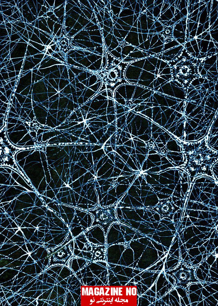 عصب چیست؟ بررسی ساختار و عملکرد عصب