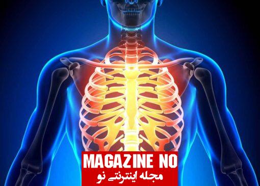 قفسه سینه (Chest) + آناتومی قفسه سینه