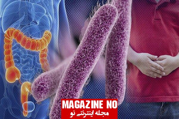 عفونت شیگلا (Shigella) + علائم، عوارض و درمان عفونت ناشی از شیگلا