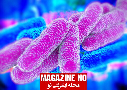 عفونت شیگلا (Shigella) + علائم، عوارض و درمان عفونت ناشی از شیگلا