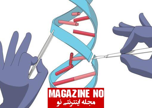 ژنتیک (Genetic): DNA، کروموزوم و نوکلوئیک اسید