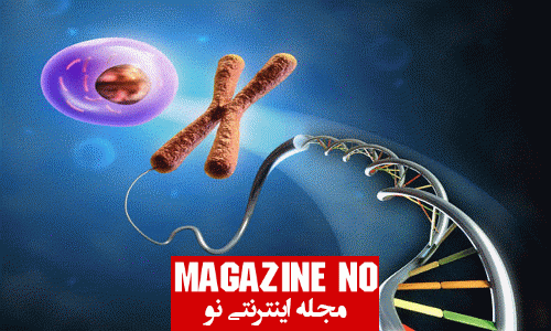 ژنتیک (Genetic): DNA، کروموزوم و نوکلوئیک اسید