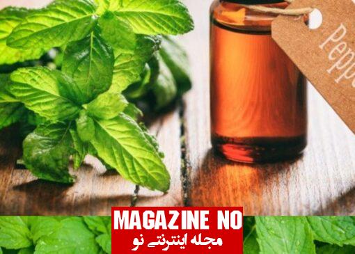 بررسی جامع خواص دارویی روغن نعناع