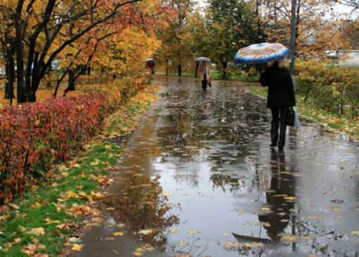 بارش‌های بهاری در زنجان؛ هفته‌ای پر باران و ناپایدار پیش رو