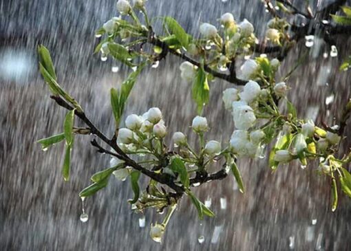 🌧️ ورود سامانه بارشی جدید به زنجان | هشدار وقوع رگبار، تگرگ و سیلاب