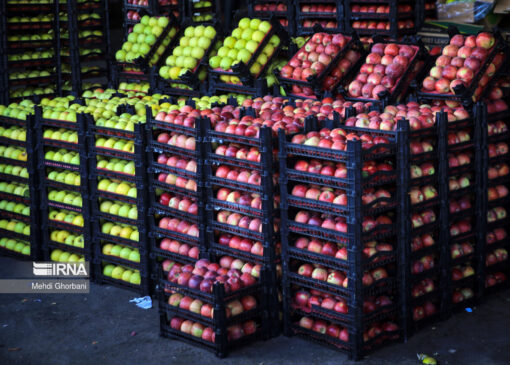 میادین جدید میوه و کالای اساسی در اهواز افتتاح می‌شود