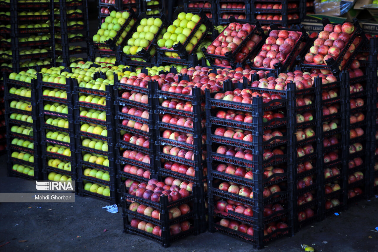 میادین جدید میوه و کالای اساسی در اهواز افتتاح می‌شود