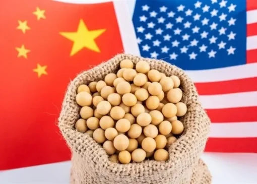 سویا به جبهه‌ای تازه در جنگ تجاری آن‌ها تبدیل شده است