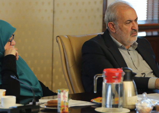 وزیر نیرو: وضعیت فعلی اقتصاد برق، مشوقی برای مصرف بی‌رویه است