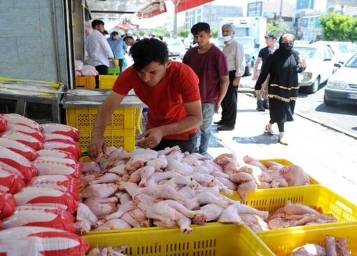 انتقاد شهروندان بندرعباس از گرانی مرغ