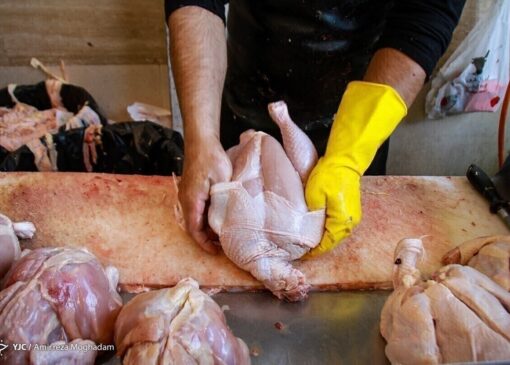 کلید حل بحران بازار مرغ: چه باید کرد؟