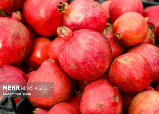 جشنواره انار اردستان؛ بستری برای رونق کسب و کار و اقتصاد منطقه