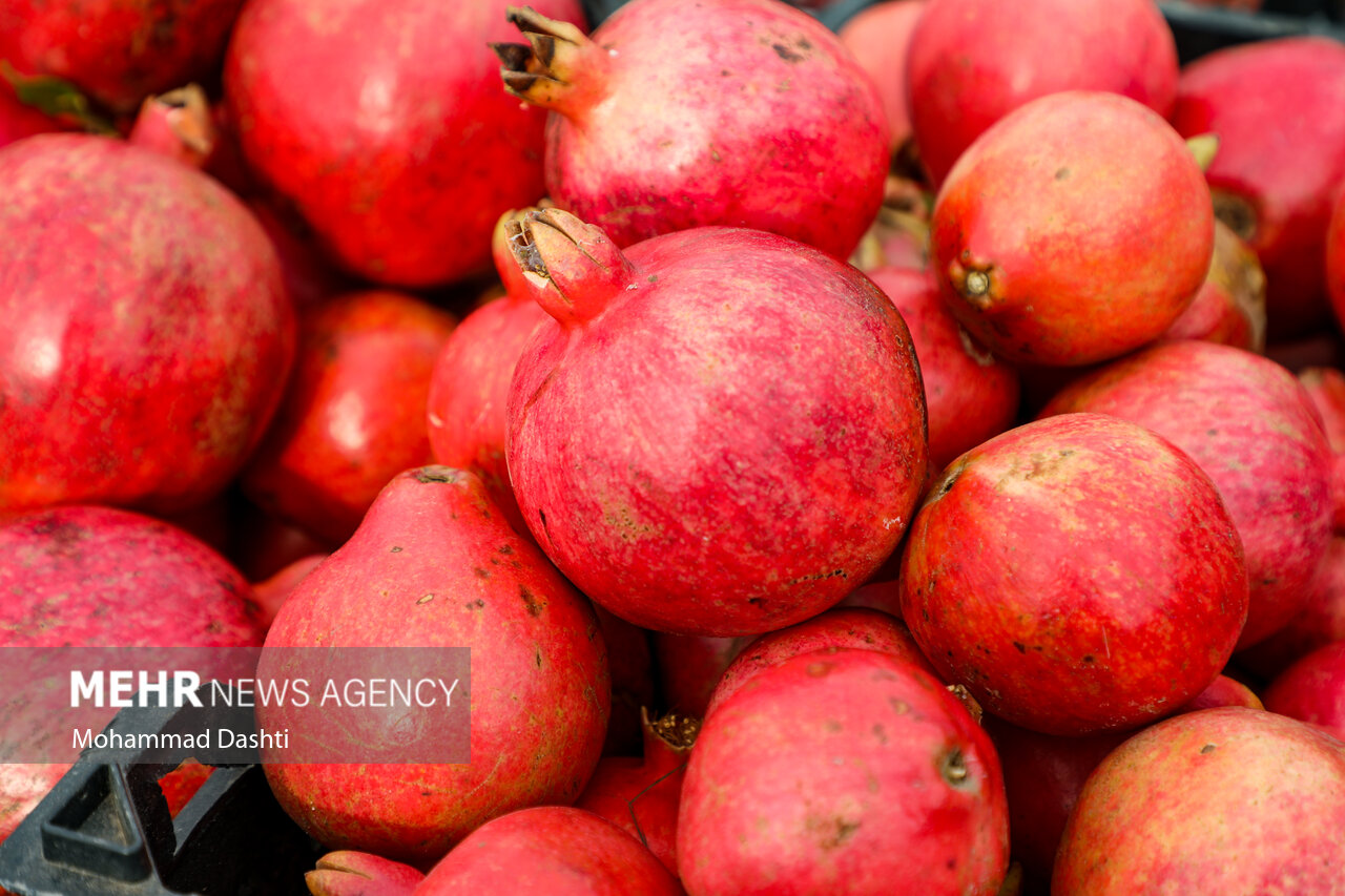 جشنواره انار اردستان؛ بستری برای رونق کسب و کار و اقتصاد منطقه
