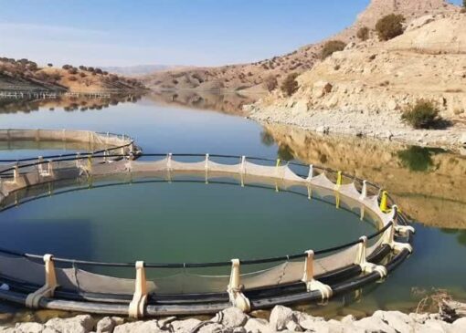 حسین‌زاده از احداث پروژه اسکله پشتیبان در منطقه لاریم خبر داد