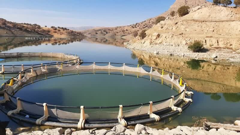 حسین‌زاده از احداث پروژه اسکله پشتیبان در منطقه لاریم خبر داد