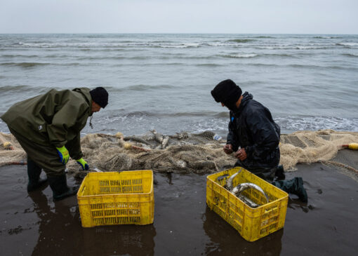 ایجاد بیش‌از ۳۰ هزار طرح اشتغال‌زایی در مناطق محروم طی ۷ ماهه امسال
