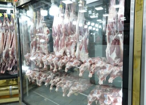 برادری: تلاطم بازار ارز، عامل گرانی گوشت گوساله در تهران