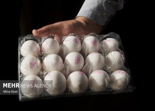 سختی معیشت کمر مردم را خم کرد؛ افزایش افسارگسیخته قیمت‌ها در سمنان