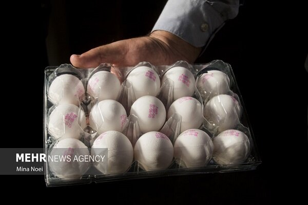 سختی معیشت کمر مردم را خم کرد؛ افزایش افسارگسیخته قیمت‌ها در سمنان