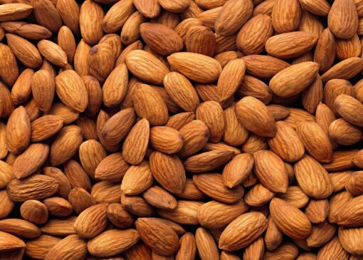 تولید چشمگیر بادام: برداشت بیش از ۱۲ هزار تن در آذربایجان‌شرقی