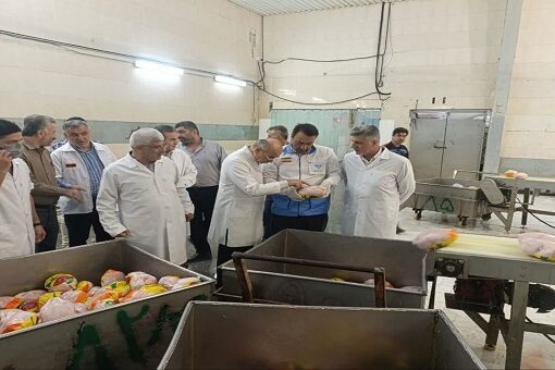 بازدید سرزده شبانه معاون اقتصادی استاندار گلستان از کشتارگاه‌های طیور استان