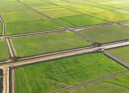 اجرای طرح رفع تداخلات اراضی در ۱۳۷ روستای شهرستان مراغه