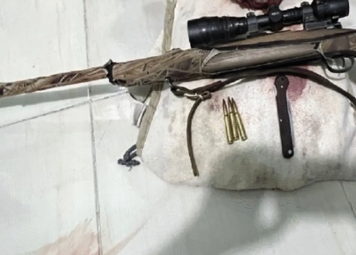 بازداشت ۲ متخلف حرفه‌ای زنده‌گیری پرندگان شکاری در خاتم