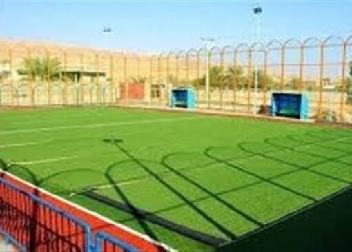 سرانه فضاهای ورزشی سرخس بالاتر از میانگین کشوری