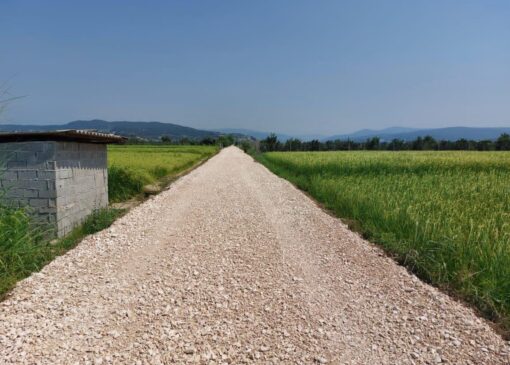 فراهی: ترمیم جاده‌های بین مزارع برای تسهیل دسترسی کشاورزان اولویت است