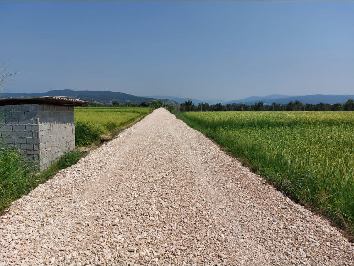 فراهی: ترمیم جاده‌های بین مزارع برای تسهیل دسترسی کشاورزان اولویت است