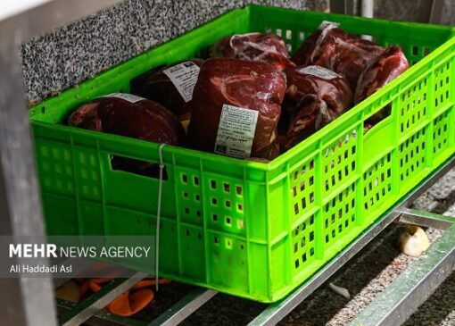 عرضه گوشت گوساله تنظیم بازاری با نرخ ۸۰۹ هزار تومان برای هر کیلو