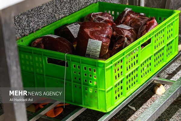 عرضه گوشت گوساله تنظیم بازاری با نرخ ۸۰۹ هزار تومان برای هر کیلو