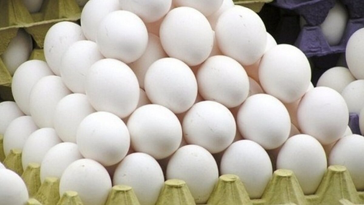 بولاغی: ۸۰۰ تن تخم‌مرغ احتکارشده در رامیان کشف شد؛ پلمب سردخانه متخلف