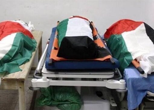 مشاهده آثار شکنجه شدید برپیکرهای شهدای فلسطینی؛«فورا تحقیقات آغاز شود»