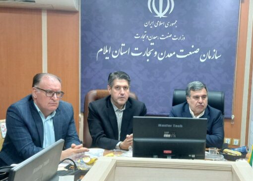 رحیمی: ۲۶ شرکت پخش سراسری در ایلام فعالیت دارند