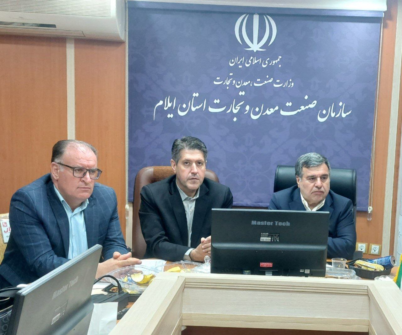 رحیمی: ۲۶ شرکت پخش سراسری در ایلام فعالیت دارند